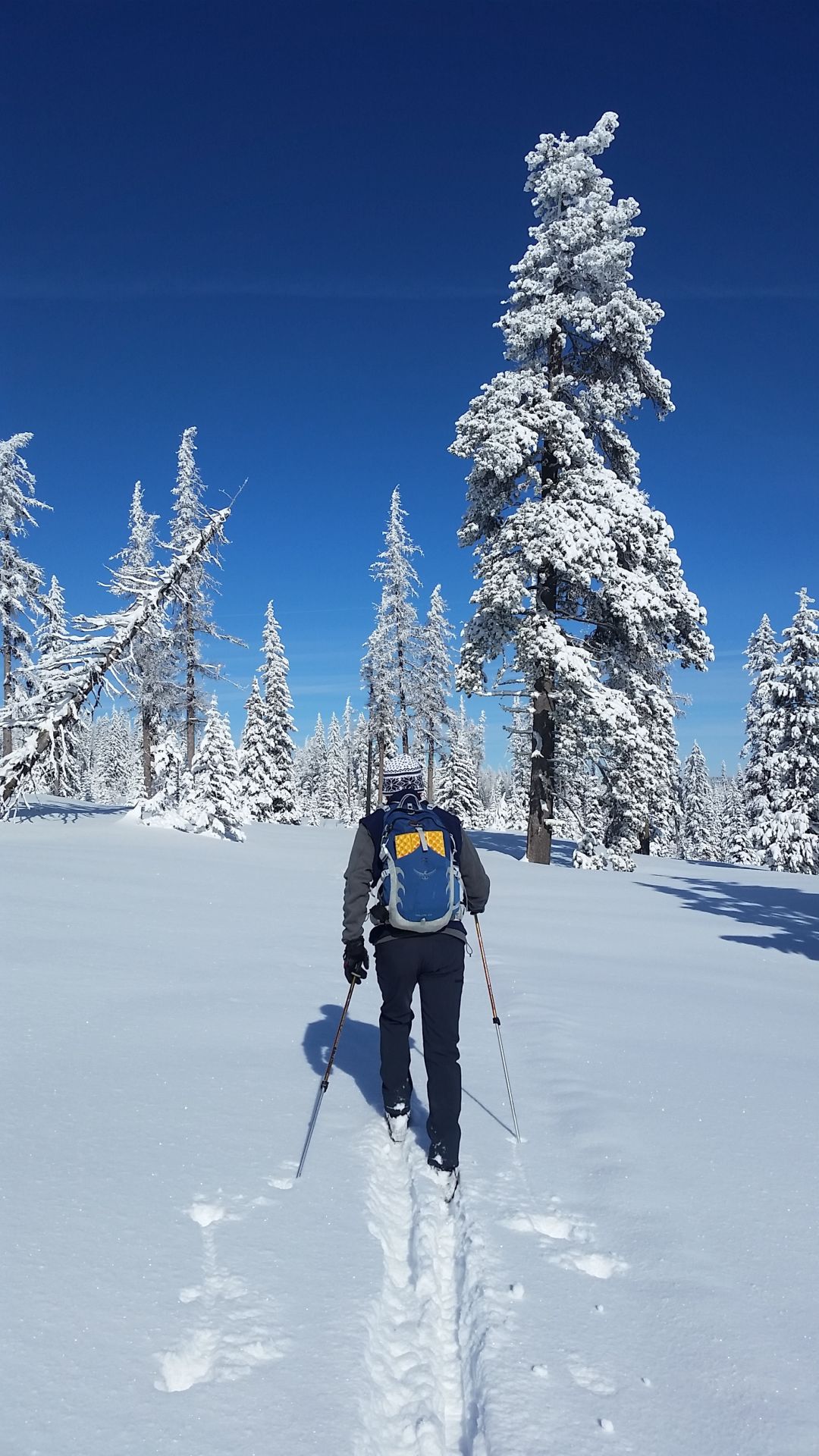 Skiing at Spout Springs. Ron Ingram2.jpg